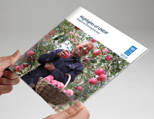 UNDP China Annual Report